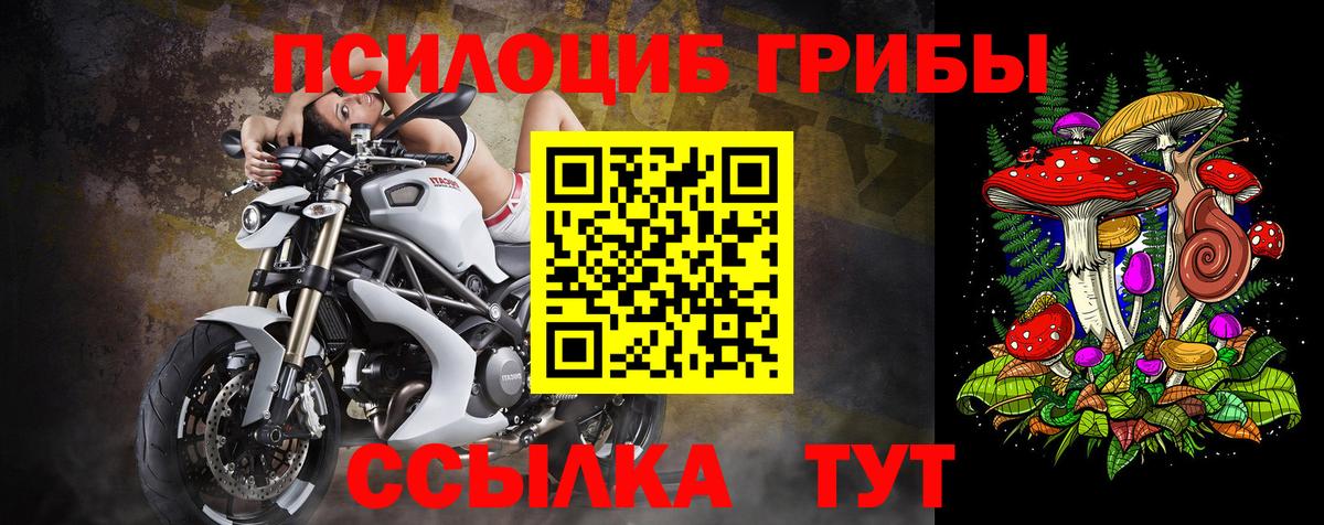 Черняховск  Псилоцибиновые грибы ЛСД  Вход с VPN 